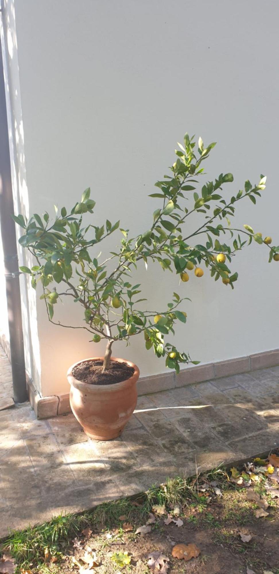 Alto Locandieri Montebagnolo 外观 照片